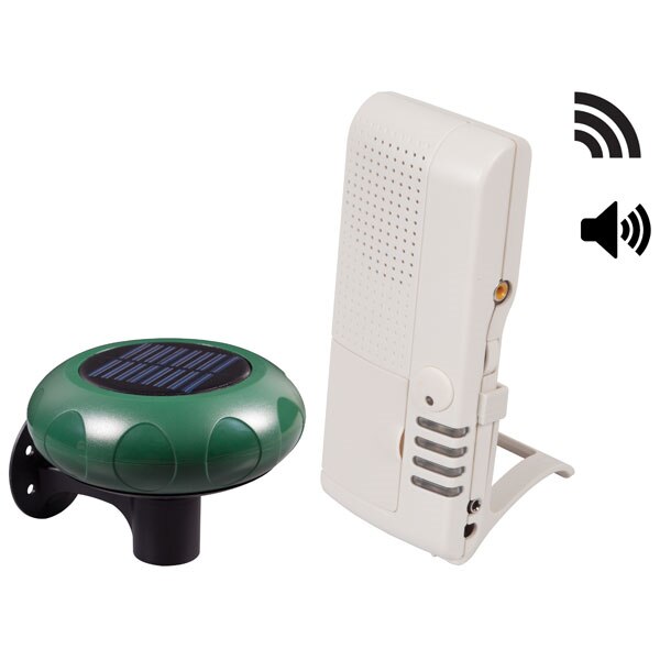 Driveway shop video monitor