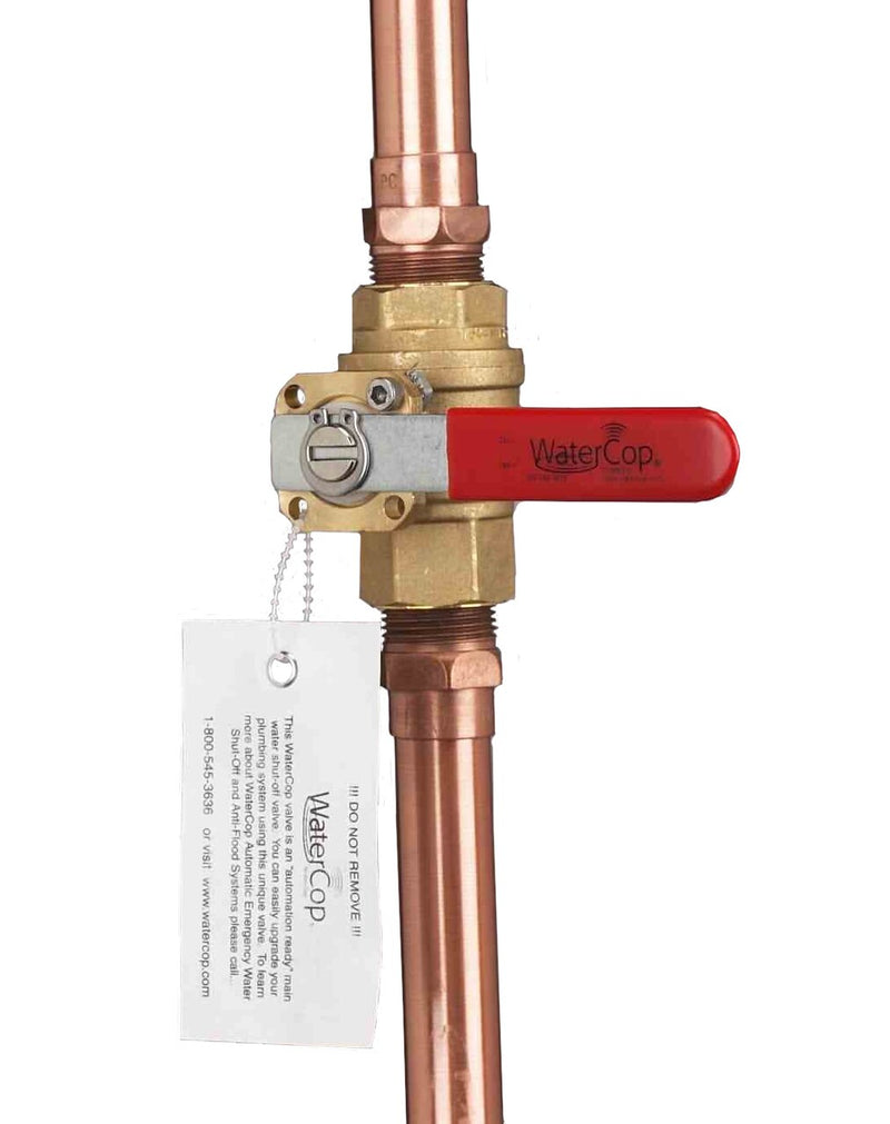 Watercop WCMVLF Brass Builder Valve 1/2"