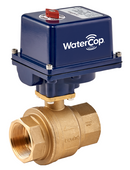 WaterCop Industrial Activator with 2 Inch Brass Water Valve